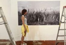 ‘Expolios. Habitar los límites’: la fotógrafa cubana Laura Capote expone en México Laura Capote. Montaje de la exposición 'Expolios: habitar los límites. Cuba-Yucatán 2019-2025'; desde el 3 de septiembre de 2026 en el Centro de Artes Visuales de Mérida, en Yucatán, México