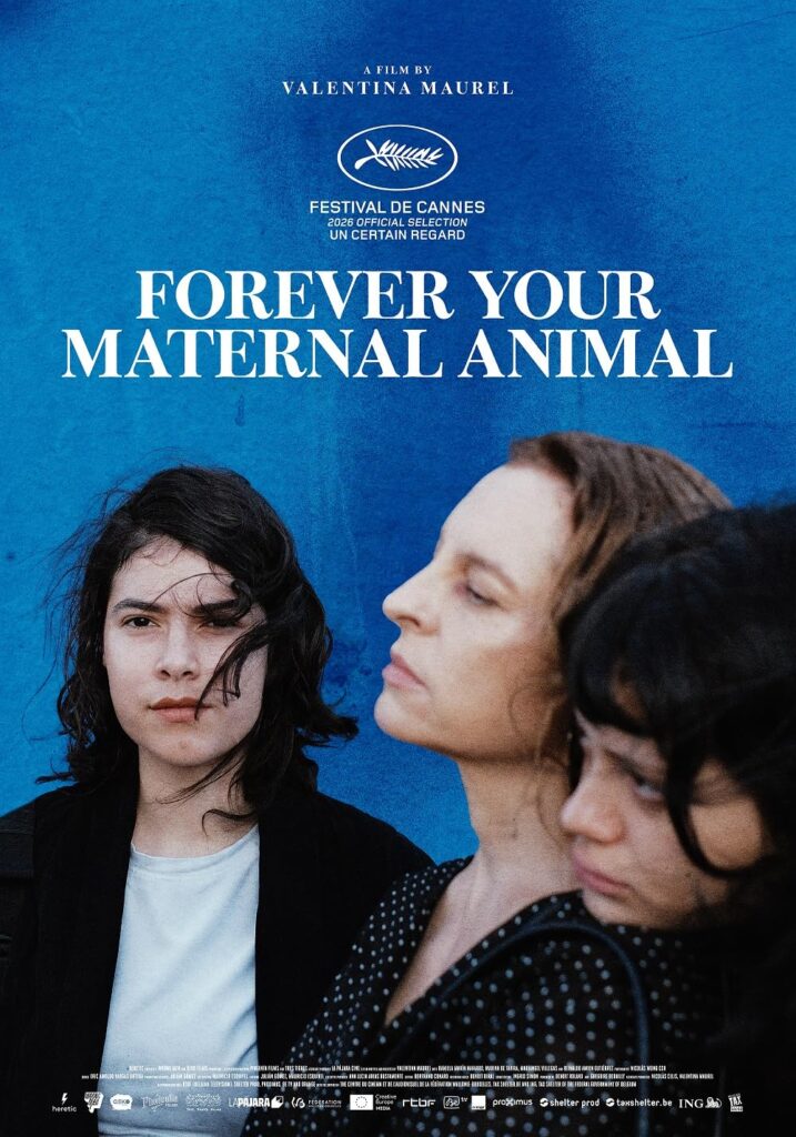 animalmaterno | Rialta