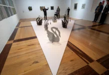 ‘Autorretrato no autorizado’: Museo de Arte Contemporáneo de Monterrey celebra el genio de Flavio Garciandía en su primera retrospectiva fuera de Cuba Sala de exposición con una instalación de esculturas de cisnes sobre una plataforma blanca y varias personas observando obras en las paredes.