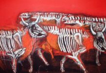 Nadie puede domar al viejo toro de lidia. Un volumen reciente sobre Rafael Zarza